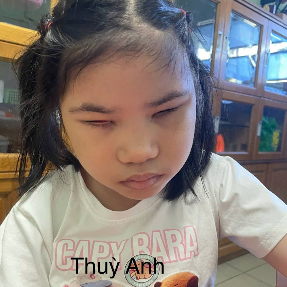 Trần Thùy Anh